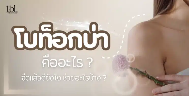 โบท็อกบ่า คืออะไร