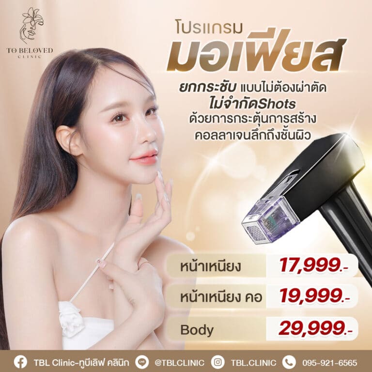 โปรแกรมมอเฟียส